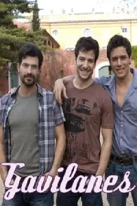 Хищники онлайн